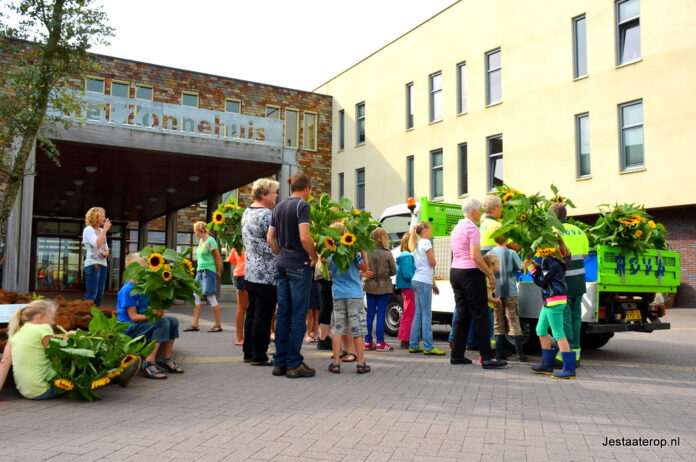 Jeugdtuin zonnebloemen voor Zonnehuis (107)