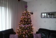 Versierde kerstbomen in huiskamers Stadshagen