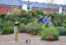 Welkom 2025, vaarwel kerstboom: dit zijn de inleverpunten