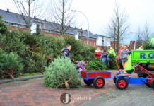 Inzamelingsactie oude kerstbomen in Stadshagen