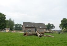 ‘Eerste schop in de grond’ wijkboerderij uitgesteld