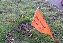 Vlaggetjesactie tegen hondenpoep