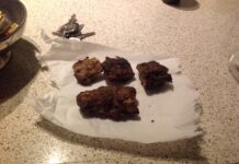 Ook in Stadshagen voor honden gevaarlijke gebakken sponzen