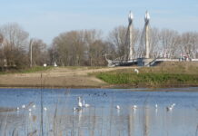 Fotowedstrijd ‘Verbinding’