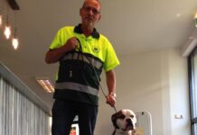 Verdwaalde boxer gevonden bij Veenmos