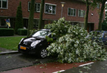 Storm richt schade aan in Stadshagen (foto’s)