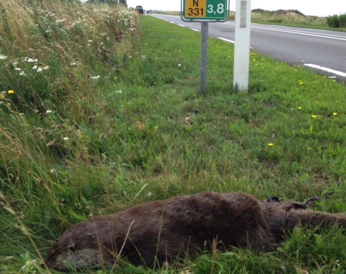 CKhUNxjUwAAKEcY.jpg-large