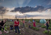 Buurtmoestuin Breecamp organiseert streekmarkt