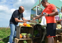 Gezellige streekmarkt Breecamp smaakt naar meer