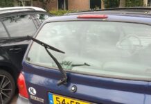 Vandalen vernielen auto’s aan Mannagras