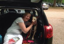 Vermiste hond na dagen weer gevonden