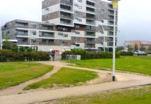 Niet altijd meer over het olifantenpaadje…