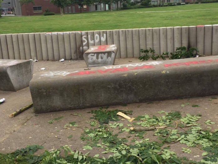 13835548_1109685069089233_829295229_o