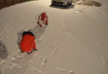 Sneeuwpret in Stadshagen (foto’s)