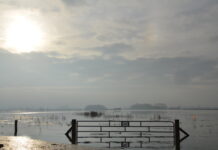 Hoogwater in de IJssel