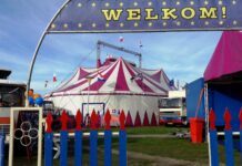 Circus neergestreken in winkelcentrum