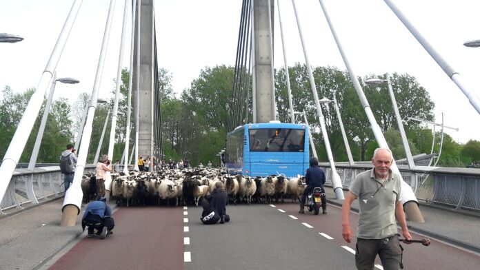 826C31B1-EC43-44D5-B8CB-A71531DDC070