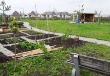 Succesvol buurtproject in Breecamp