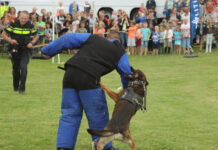Politiekids Spektakeldag in Stadshagen (fotoreportage)