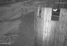 Poging brandstichting speelkasteel