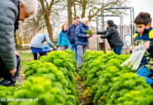 Vrienden Stadshoeve eten dit weekend gratis spruiten