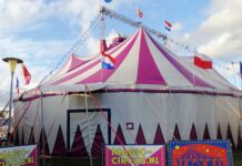 Circus strijkt neer in Stadshagen