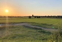 Politiek wil meer ‘gestapelde bouw’ in De Tippe