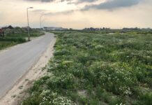 Wandelend vanuit de wijk het bos in