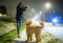 Stadshagen beleeft sneeuwpret (fotoreportage)