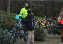 Oude kerstbomen inzamelen voor een beloning
