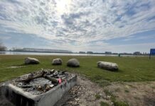 Gemeente haalt vuurplaatsen Milligerplas weg