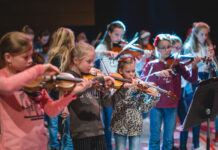 Vuurvogel start project voor jonge strijkers