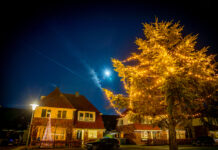 Breng licht in Stadshagen 2021: de wijk pakt groots uit