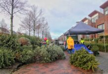 Kerstbomeninzameling levert veel bomen op