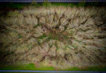 Stadshagen trotseert storm Dudley