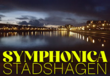 Dit valt er zaterdag te zien, horen en beleven bij Symphonica Stadshagen