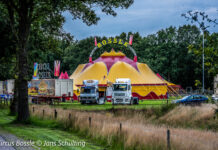 Circus Bossle komt naar Stadshagen: 5x 2 vrijkaarten te winnen!