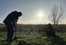 Doneer boompjes en zaailingen voor nieuw bos
