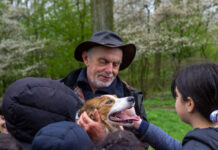 Schaapherder Tjitse terug in Zwolle: ‘Nog een jaar of twee en dan met pensioen’