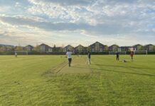 Cricket is de nieuwste sport in Stadshagen
