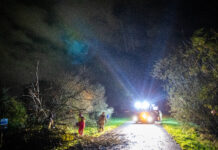 Omgevallen boom blokkeert Werkerlaan