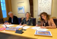 Tweede Knarrenhof van Zwolle komt in De Tippe