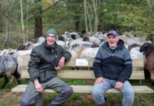Schaapsherder Tjitse Terpstra met pensioen: eerbetoon in Westerveldse Bos