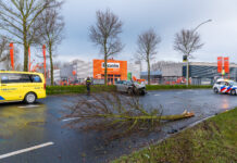 Auto vliegt uit de bocht op Westenholterallee