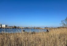 Help de natuur een handje, doe mee aan Opschoondag langs het Zwarte Water