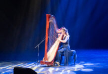 Jonge harpiste uit Stadshagen krijgt kans in Londen