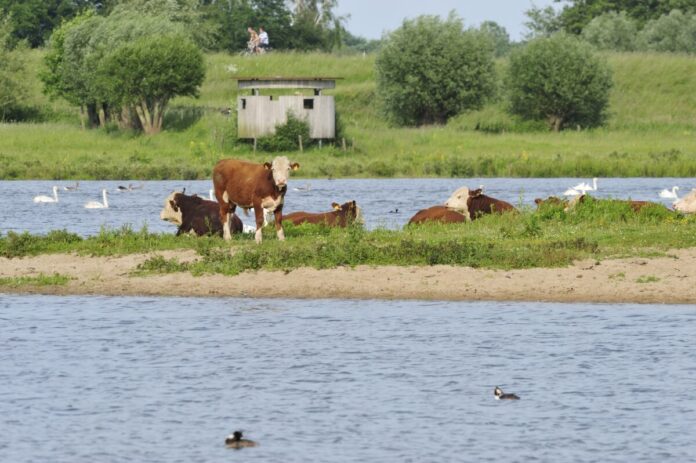 Natuurmonumenten-Martin-van-Lokven-NAMO66010-1200x798