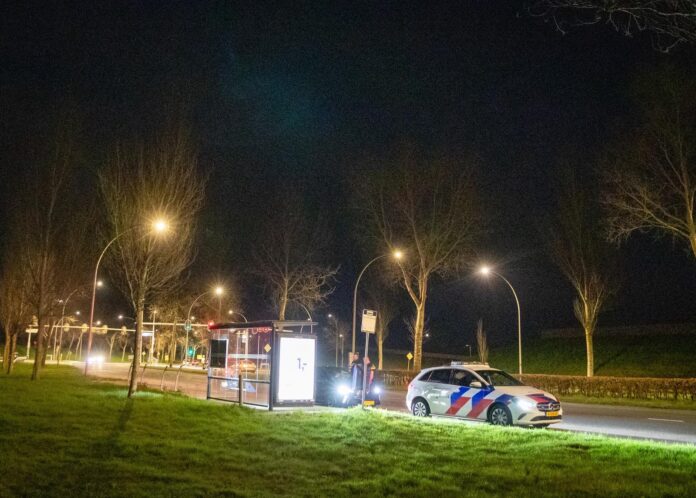 WhatsApp Image 2026-03-15 at 20.16.12