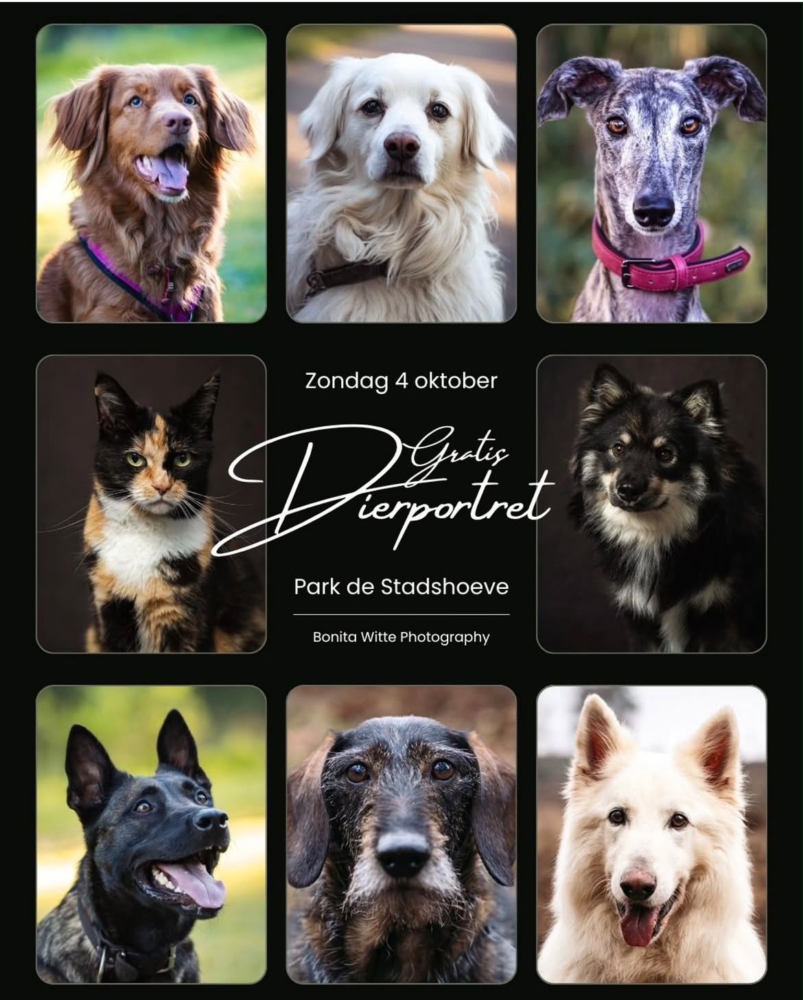 Gratis dierportret