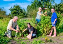 Grote verbazing over voornemen om jeugdtuinen te sluiten
